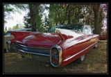 Cadillac - 6